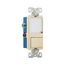 Led Nightlight w/ Switch, Auto-Grnd/Led Nightlight, #14-#12 Awg 15A, 120V, Rocker, Ivy, 1-Pole, 7738V-BOX