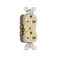 Commercial Specification Grade Duplex Receptacle, #14-10 Awg, 20A, 250V, SideWire, Ivory, 6-20R, 815V-BOX
