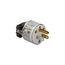 Arrow Hart Safety Grip Straight Blade Plug, #14-10 Awg 15A 125V, Clear, 5-15P, 2-Pole, 8266