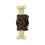 Arrow Hart Single Receptacle, #14-10 Awg 20A, Healthcare, 250V, Brown, High-Impact Nylon, 6-20R, 8410B