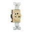 Arrow Hart Single Receptacle, #14-10 Awg 20A, Healthcare, 250V, Ivory, High-Impact Nylon, 6-20R, 8410V