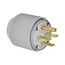 Arrow Hart Auto Grip Plug, #12-4 Awg 30A, Range & Dryer, 250V, Gray, 15-30P, 3-Pole, 4-Wire, 8432N