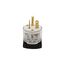 Arrow Hart Safety Grip Straight Blade Plug, #18-12 Awg 20A, 250V, Clear, High-Impact Pvc, 2-Pole, 8466