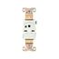 Arrow Hart Single Receptacle, #14-10 Awg 15A, Healthcare, 250V, High-Impact Nylon, 6-15R, 8610W