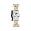 Arrow Hart Single Receptacle, #14-10 Awg 15A, Healthcare, 250V, High-Impact Nylon, 6-15R, 8610W