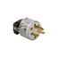 Arrow Hart Safety Grip Straight Blade Plug, #18-12 Awg 15A, 250V, Clear, 6-15P, 2-Pole, 8666
