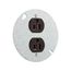 Arrow Hart Flush Mount Receptacle, #14-10 Awg 15A 125V, Brown Face Cover, Duplex, 869-BOX