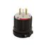 Arrow Hart Auto Grip Plug, #18-10 Awg 20A, 125/250V, Gray, 10-20P, 2-Pole 3-Wire, 0.38" -1.00", 9151N