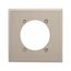 Power Outlet & Locking Wallplate, Stainless Steel, 2.47" Hole Cutout, 2-Gang, 93223-BOX