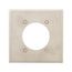 Power Outlet & Locking Wallplate, Stainless Steel, 2.28" Hole Cutout, 2-Gang, 93228-BOX