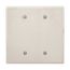 Blank Wallplate, Stainless Steel, Blank Cutout, Stainless Steel, 2- Gang, Oversize, Ed Box, 93852-BOX