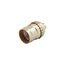 Lampholder, Lamp Stem Mounting, Keyless Switch, Medium Base, Brass, Aluminum, 250V, 660W 295003, 975ABD-BOX