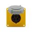 Arrow Hart Pin & Sleeve Receptacle, #12-#10 Awg 20A 125V, Ip67, Ip69K, 2-Pole 3-Wire, Female, AH320R4W