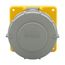 Arrow Hart Pin & Sleeve Receptacle, #10-#2 Awg 30A 125V, Ip67, Ip69K, 2-Pole 3-Wire, Female, AH330R4W