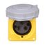 Arrow Hart Pin & Sleeve Receptacle, #10-#2 Awg 32A, 110-130V, Ip67, Ip69K, 2-Pole 3-Wire, Female, AH332R4W