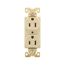 Arrow Hart Extra Heavy-Duty Industrial Duplex Receptacle, #14-10 Awg 15A 125V, Ivory, Duplex, AH5252V