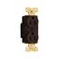 Arrow Hart Industrial Duplex Receptacle, #14-10 Awg 15A 125V, Brown Face Base, Duplex, AH5262B