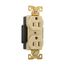 Arrow Hart Industrial Duplex Receptacle, #14-10 Awg 15A 125V, Ivory Face Base, Duplex, AH5262V