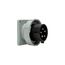 Arrow Hart Pin & Sleeve Inlet, #10-#2 Awg 30A, Y 347/600V, Black, 4-Pole, 5-Wire, Male, 15 Hp, AH530B5W