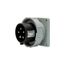 Arrow Hart Pin & Sleeve Inlet, #10-#2 Awg 30A, Y 347/600V, Black, 4-Pole, 5-Wire, Male, 15 Hp, AH530B5W