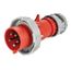 Arrow Hart Pin & Sleeve Plug, 30/32A 200-415V, 4-Pole, 0.433-1.15" Cable Dia, #10 -#2 Awg 5 Wire, AH530P6WDR