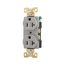 Arrow Hart Industrial Duplex Receptacle, #14-10 Awg 20A 125V, Gray, 5-20R, Duplex, AH5352GY