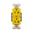 Arrow Hart Corrosion Resistant Straight Blade Duplex Receptacle, #14-10 Awg 20A 125V, AH5362CRY