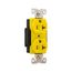 Arrow Hart Corrosion Resistant Straight Blade Duplex Receptacle, #14-10 Awg 20A 125V, AH5362CRY