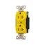 Arrow Hart Corrosion Resistant Straight Blade Duplex Receptacle, #14-10 Awg 20A 125V, AH5362CRY