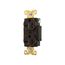 Arrow Hart Industrial Duplex Receptacle, #14-10 Awg 20A, 250V, Brown, 6-20R, Duplex, AH5462B