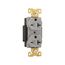 Arrow Hart Industrial Duplex Receptacle, #14-10 Awg 20A, 250V, Gray, 6-20R, Duplex, AH5462GY