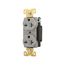 Arrow Hart Industrial Duplex Receptacle, #14-10 Awg 20A, 250V, Gray, 6-20R, Duplex, AH5462GY