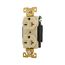 Arrow Hart Extra Heavy-Duty Industrial Specification Grade Duplex Receptacle, 20A, 250V, AH5462V