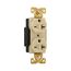 Arrow Hart Extra Heavy-Duty Industrial Specification Grade Duplex Receptacle, 20A, 250V, AH5462V