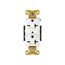 Arrow Hart Industrial Duplex Receptacle, #14-10 Awg 20A, 250V, 6-20R, Duplex, AH5462W