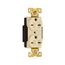 Arrow Hart Industrial Duplex Receptacle, #14-10 Awg 15A, 250V, Ivory, 6-15R, Duplex, AH5662V