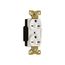 Arrow Hart Extra Heavy-Duty Industrial Duplex Receptacle, #14-10 Awg 15A, 250V, 6-15R, Duplex, AH5662W