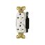 Arrow Hart Extra Heavy-Duty Industrial Duplex Receptacle, #14-10 Awg 15A, 250V, 6-15R, Duplex, AH5662W