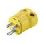 Arrow Hart Corrosion Resistant Straight Blade Plug #18 To #12 Awg 15A 125V, 5-15P, 2-Pole 3-Wire, AH5965CR