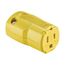 Arrow Hart Corrosion Resistant Straight Blade Connector, #18 To #12 Awg 15A 125V, 2-Pole 3-Wire, AH5969CR