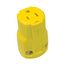 Arrow Hart Corrosion Resistant Straight Blade Connector, #18 To #12 Awg 15A 125V, 2-Pole 3-Wire, AH5969CR