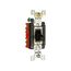 Manual Motor Controller, Cover Plate, #14-10 Awg 20/30A, 600/250V, 2-Pole, Single-Throw, AH6808FDAC