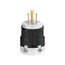 Arrow Hart Auto Grip Straight Blade Plug, #18-12 Awg 15A 125V, Back, 5-15P, 2-Pole 3-Wire, AH8215HG