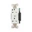 Arrow Hart Duplex Receptacle, #14 To 10 Awg 15A, Healthcare, 250V, 6-15R 2-Pole 3-Wire, AH8600W