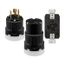Arrow Hart Color Coded Locking Plug, #14-8 Awg 30A, Y 347/600V, Black, L20-30, 4-Pole, 4-Wire, AHCL2030P
