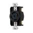 Arrow Hart Color Coded Locking Receptacle, #14-8 Awg 30A, Y 120/208 V, AHCL2130R