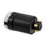 Arrow Hart Locking Plug, #12-4 Awg, 20A, 30A, 600/250V, Brass, Ultra Grip, 3-Pole, 4-Wire, AHPL20415N