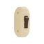 Commercial Switch, Switch Feedthru Cord 3A 120V Flat/Rnd Iv, BP933V