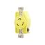 Corrosion Resistant Locking Receptacle, #14-10Awg, 20A, 250V, Yellow, L6-20, 2-Pole 3-Wire, CRL620R