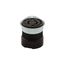 Safety Grip Locking Flanged Outlet, #14-8 Awg, 20A, 250V, Back Wiring, L2-20, 2-Pole, 2-Wire, CWL220FO1
